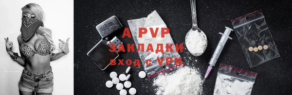 сатива Надым