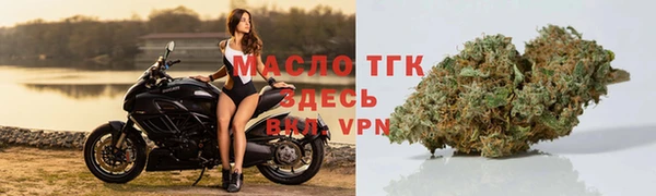 сатива Надым