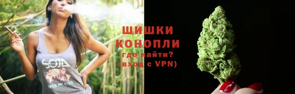 сатива Надым