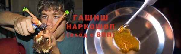 сатива Надым