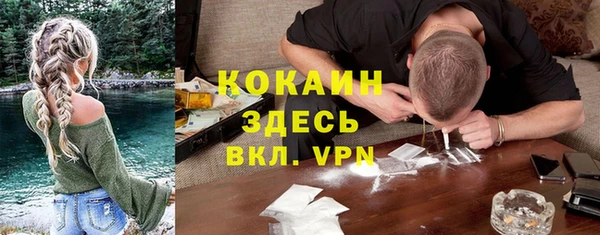 прущие грибы Гусь-Хрустальный