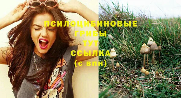 прущие крисы Алзамай