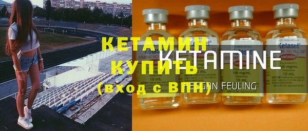 сатива Надым