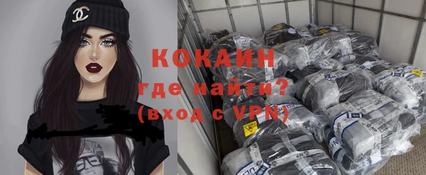 сатива Надым