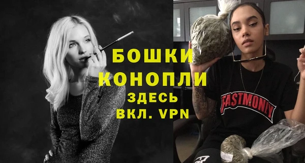 сатива Надым