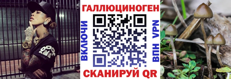 Галлюциногенные грибы Psilocybe  Петров Вал 